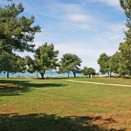 بيت للعطل Holiday Camping Pineta.2 *